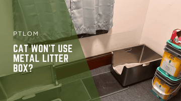 Cat Won’t Use Metal Litter Box? 5 Reasons Why & How to Fix It - PTLOM