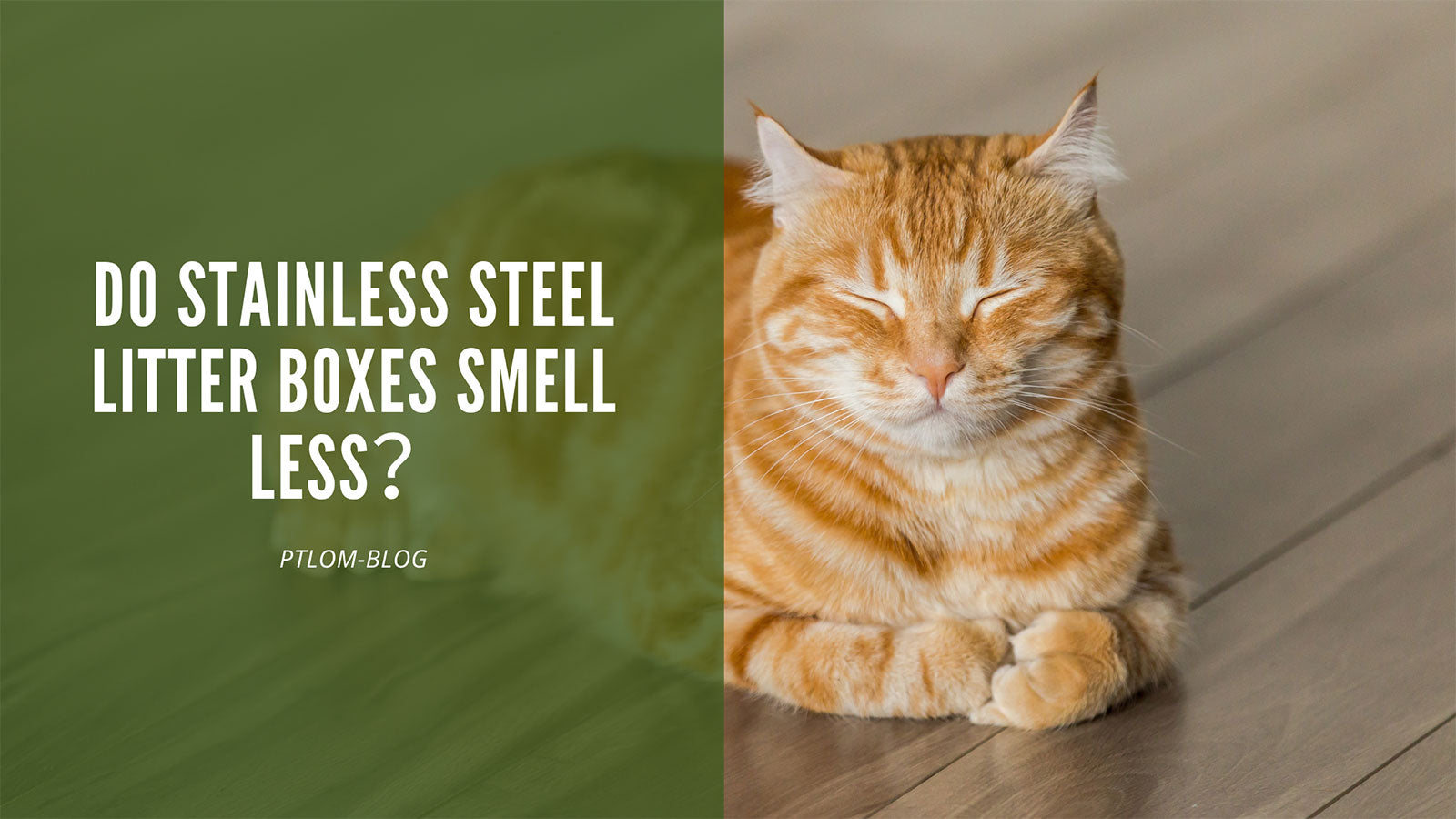 Do stainless steel litter boxes smell less? – PTLOM