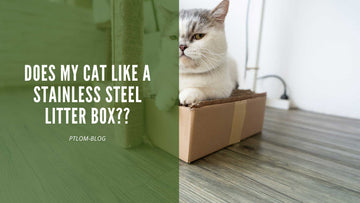 Does My Cat Like a Stainless Steel Litter Box? - PTLOM