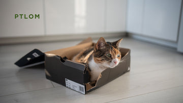 High-Sided, Low-Entry Litter Box: The Best Choice for Senior Cats - PTLOM
