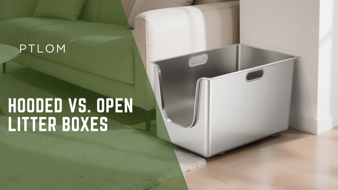 Hooded vs. Open Litter Boxes: Which One Is Right for Your Cat? - PTLOM