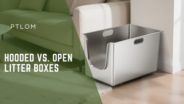 Hooded vs. Open Litter Boxes: Which One Is Right for Your Cat? - PTLOM