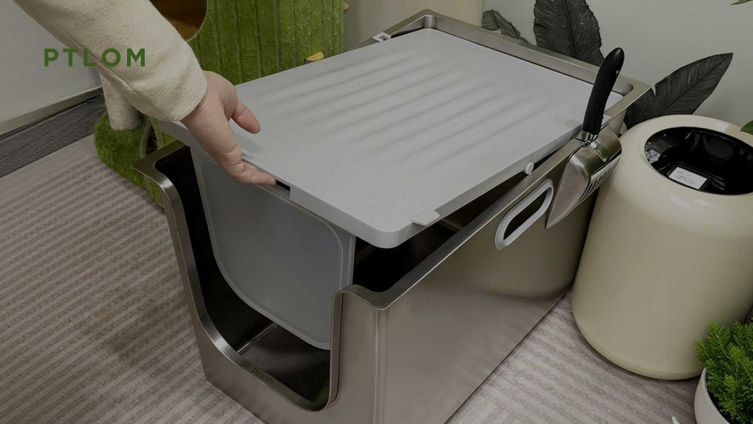 How to Transition Your Cat to a Covered Litter Box - PTLOM