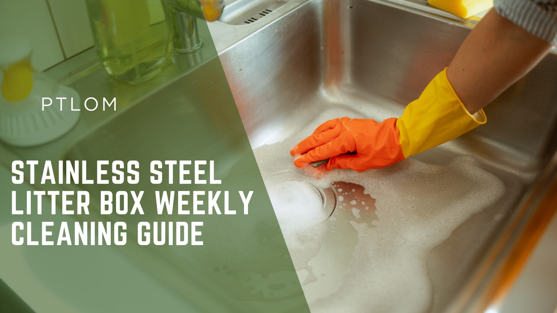 Stainless Steel Litter Box Weekly Cleaning Guide - PTLOM