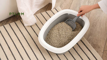 The Hidden Dangers of a Dirty Litter Box: 5 Serious Health Risks for You and Your Cat (Updated) - PTLOM
