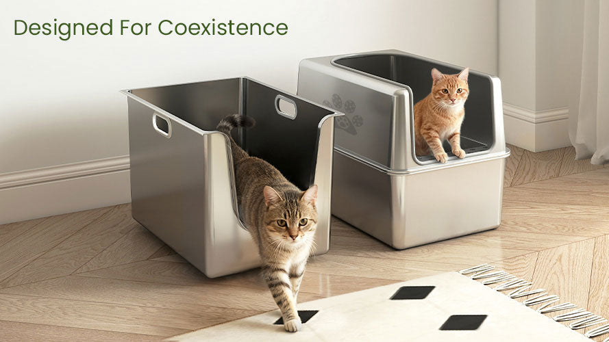Why Low-Entry Stainless Steel Litter Boxes Are Perfect for Senior Cats - PTLOM