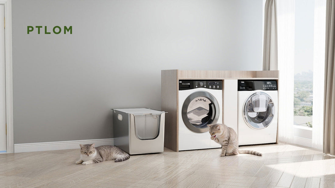 Why Switch to a Stainless Steel Cat Litter Scoop?