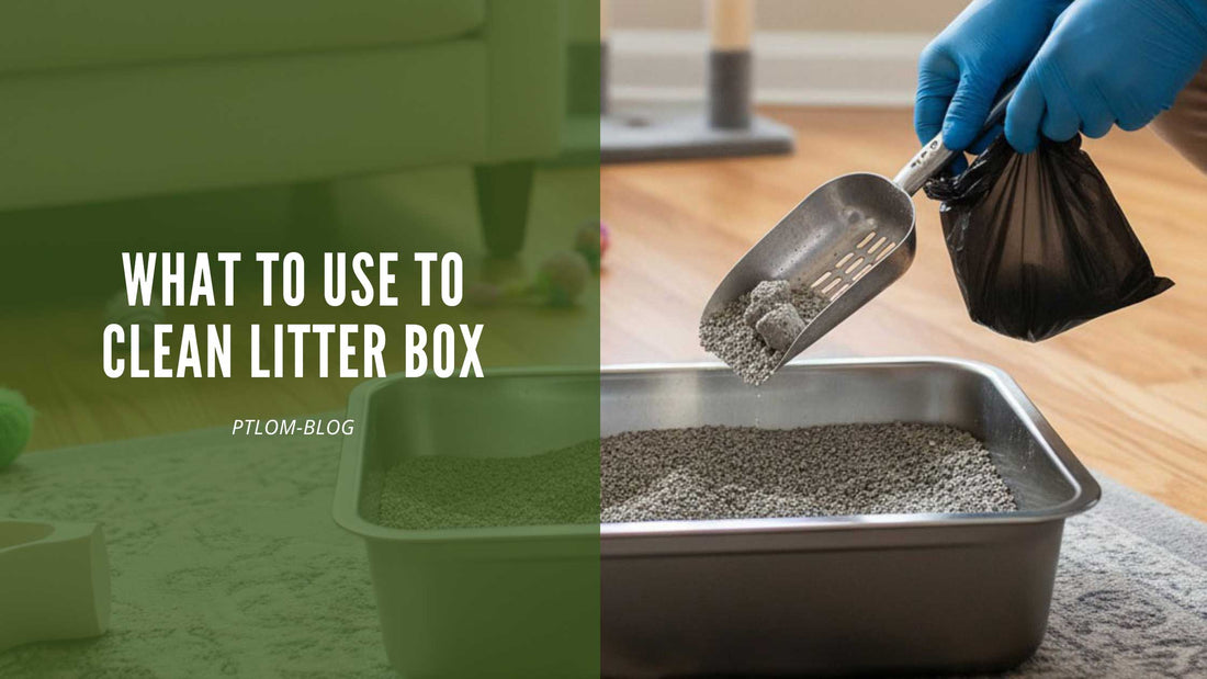 what to use to clean litter box - PTLOM