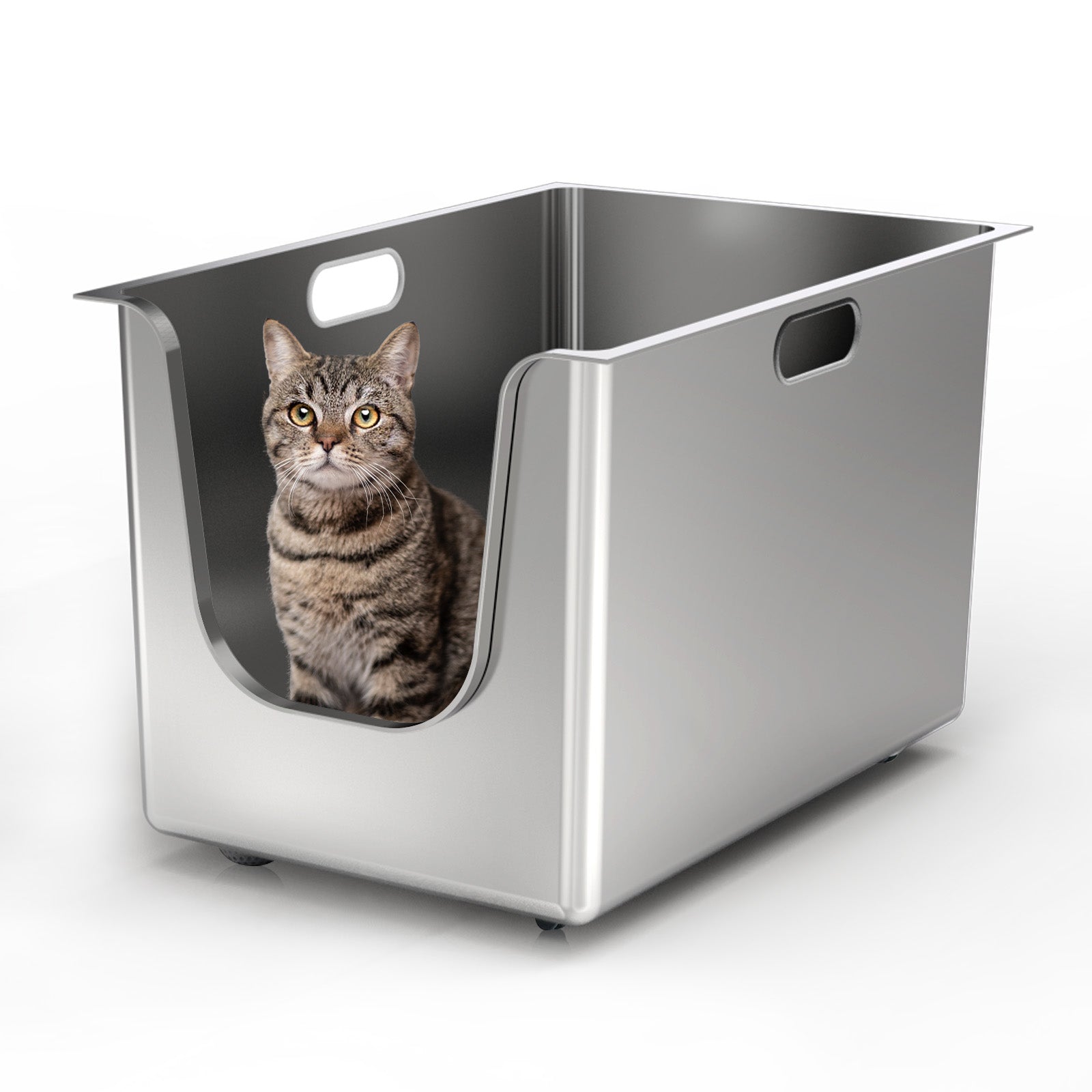 A cat is entering from the side entrance of a Ptlom side-entry 13.8-inch high stainless steel cat litter box.