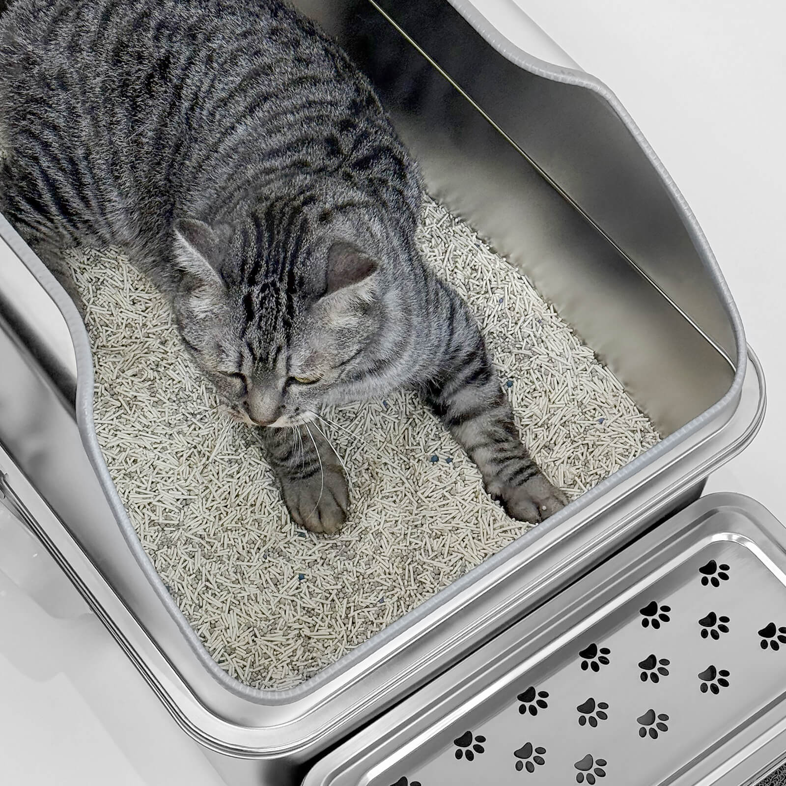【BIG SALE】Cat Litter Box with Lid - Beveled Lid